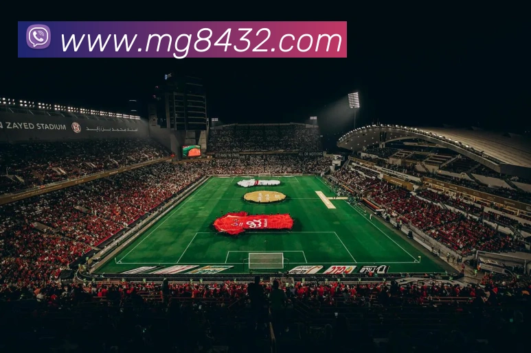 MG娱乐平台官网平台生态图